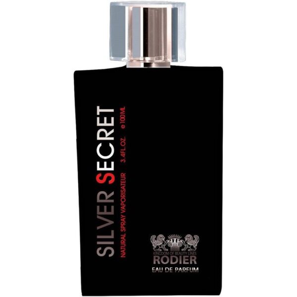 عطر ادوپرفیوم مردانه رودیر مدل سیلور سکرت حجم ۱۰۰ میلی لیتر کدk20892